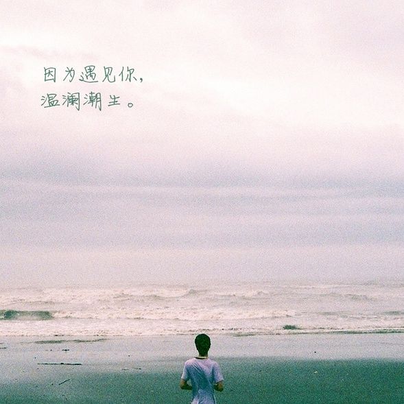 因为遇见你，温澜潮生